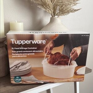 Tupperware XL Storage Container in White